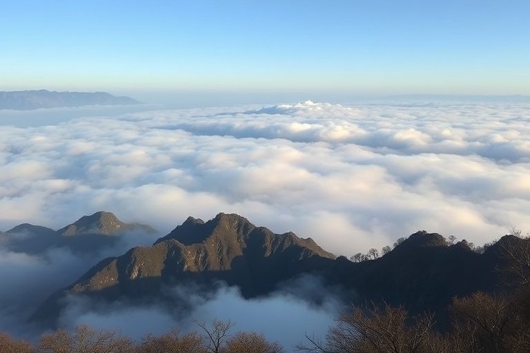 飞禽走兽影院-黄山云海：中国最美山岳4K